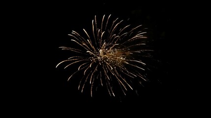 Fototapeta premium Fireworks background holidays concept.