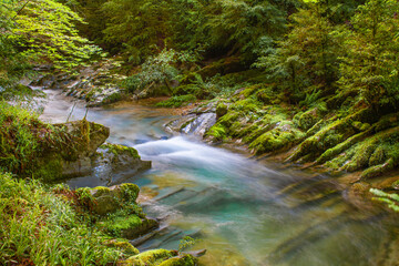 small waterfall in the forest