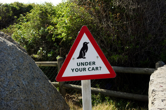 Penguin Safety Warning Sign