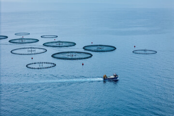 Service feeding ship cruising aquaculture open-net fish farm for produce a sustainable animal...