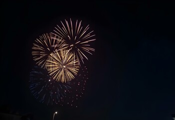 Fireworks Sparkle in the Midnight Sky