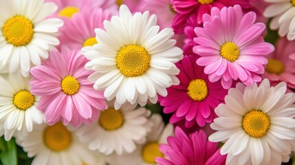 Obraz premium Close-up of vibrant spring flowers in pink white and yellow tones blurred garden background with soft natural lighting