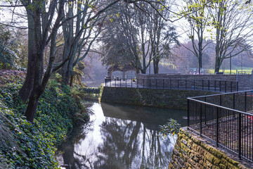 Fototapeta premium Serene Footbridge Crossing Picturesque Creek in Forest