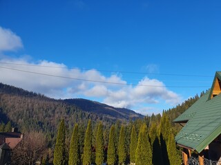 Beautiful Carpathian mountains, coniferous trees and deciduous trees, spruce trees