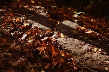 close up of iron