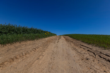 Naklejka premium part of the road in the field for agricultural transport