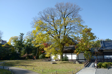 閑院宮邸跡　収納展示館　京都市中京区