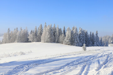 Obraz premium Fairy-tale views of snow-covered meadows and forests in the mountains.