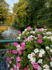 Fototapeta premium Beautiful flowers on bridge over canal in park