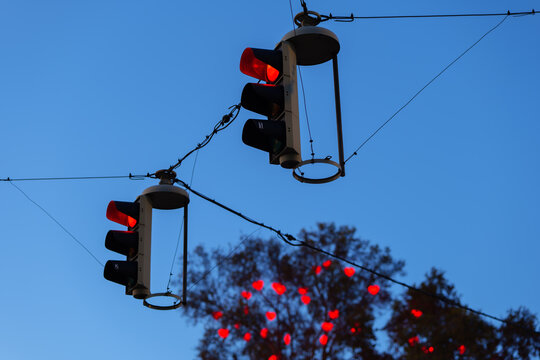 Red Trafik Lights and Christmas Decoration in Trees in Vienna