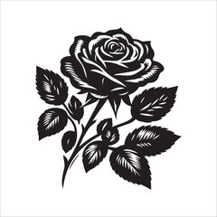 best rose vector silhouette & colorful