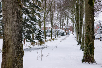 Snow-covered street lined with trees in a quiet neighborhood during winter
