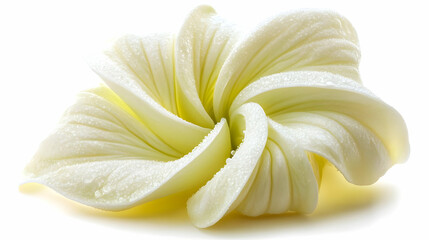 Dew-Kissed Creamy White Flower Petals Realistic Image