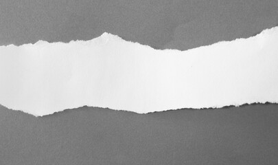 torn tear paper texture as background.