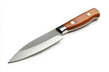 Fototapeta premium Single wooden handled knife on white background