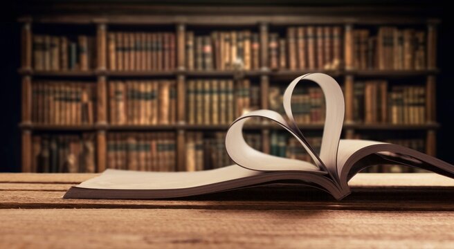 Reading books in library for education concept