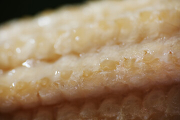 Macro texture of rotten baby corn kept in fridge more than month. 