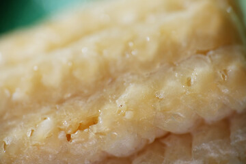 Macro texture of rotten baby corn kept in fridge more than month. 