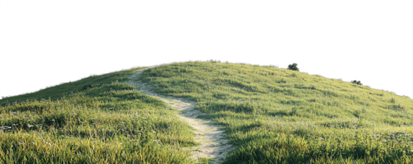 grassy hill, winding path, clear sky, minimalistic landscape, serene nature, peaceful setting, early morning light, soft shadows, lush green grass
