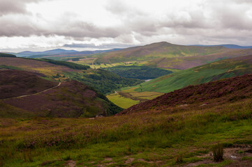 A view of a valley with a mountain in the background