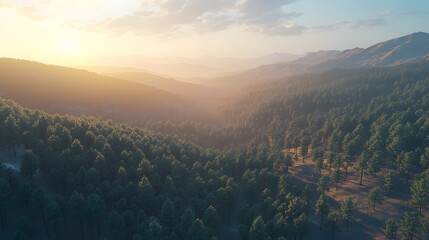 Fototapeta premium A serene landscape featuring a forested valley at sunset, showcasing natural beauty.