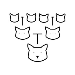 Fototapeta premium pedigree chart cat breeding line icon vector. pedigree chart cat breeding sign. isolated contour symbol black illustration