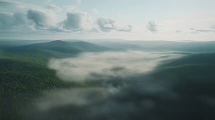 A serene landscape with mist over rolling hills and dense forests under a cloudy sky.