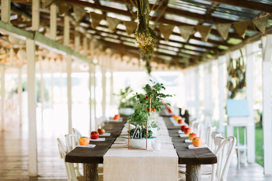 Rustic long dining table setup with plants and apples.