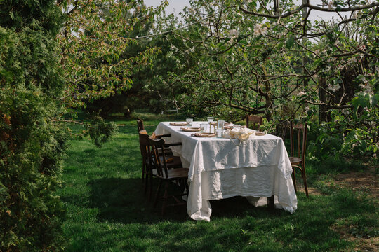 Outdoor dining setup with table in lush green garden.