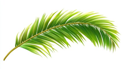 Obraz premium A vibrant green palm leaf, showcasing its elongated shape and lush foliage.