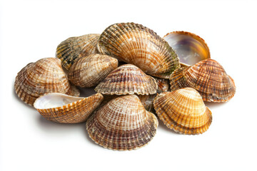 Fototapeta premium collection of various seashells with intricate patterns and textures, showcasing natural beauty and diversity, isolated on white background