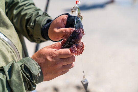 Removing fish off hook