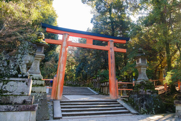 春日大社の境内　参道　奈良県奈良市