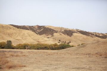 California hills, San Benito county in the fall