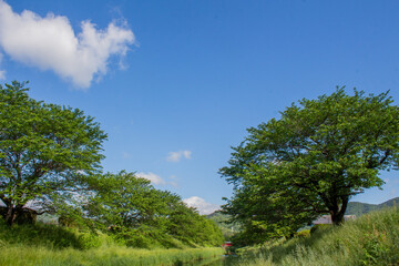 岐阜県大野町の風景