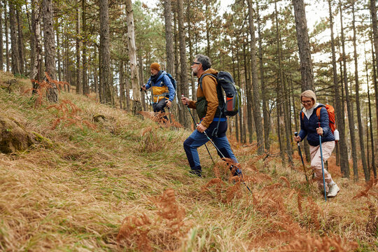 Group of people hiking through the forest