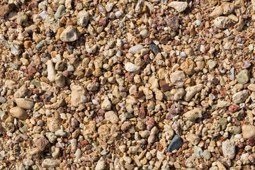 The coastline of the Red Sea. Sand, pebbles, corals, fossils. Background with a marine theme.