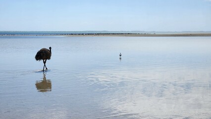 Monkey Mia Town in Western Australia
