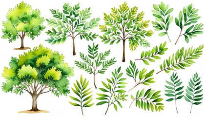 Obraz premium Vibrant watercolor trees and leaves: green nature botanical collection
