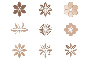 Watercolor Flower, Painting on canvas, Illustration Retro set with different daisy flowers. Colorful vector illustration isolated on white background in vintage style flower, watercolor, vector, pink,