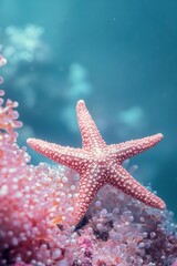 A vibrant pink starfish resting on coral in a serene underwater scene.