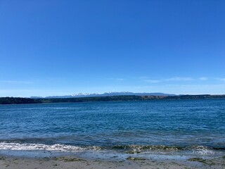 Washington Beach Landscape