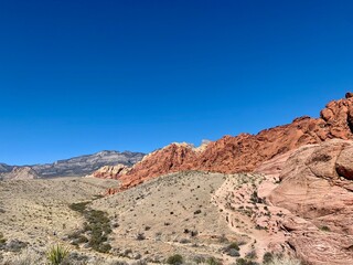 Fototapeta premium red rock canyon