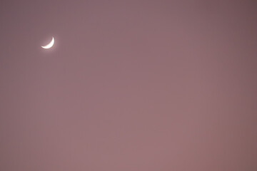 A crescent moon shines brightly in a soft, pink sky