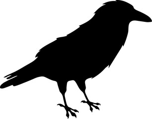 Bird Raven Crow Black Silhouette for Icon.