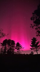 Pink Aurora Borealis Illuminates Silhouetted Trees Against Night Sky