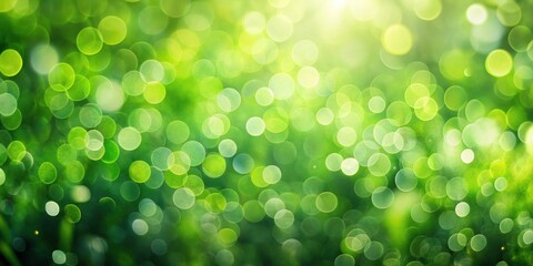 Fototapeta premium Green bokeh background from nature forest out of focus, green, bokeh, background, nature, forest, out of focus, abstract