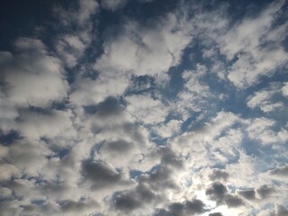 Obraz premium 東京のそら(24.12.5)