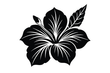 hibiscus flower with symmetrical leaves