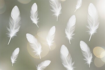 Gentle White Feather Overlay Isolated for Soft Illuminating Glow